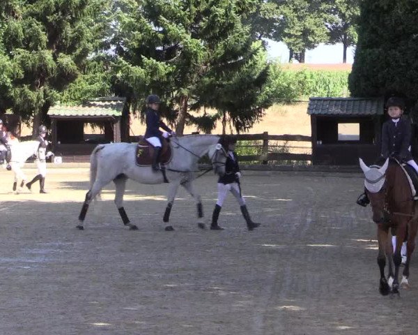 Reitturnier Datteln 2022