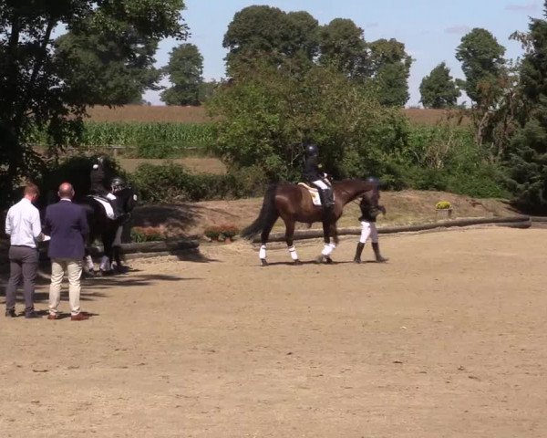 Reitturnier Datteln 2022