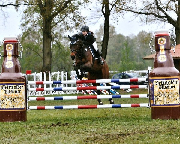jumper Riverside Lady (Hanoverian, 2003, from Rosentau) jumper Riverside Lady (Hanoverian, 2003, from Rosentau)