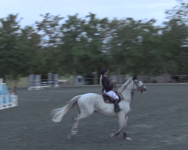 Reitturnier Horitschon 2022