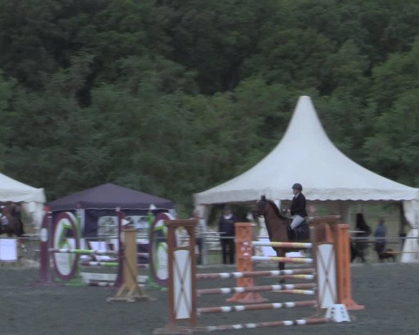 Reitturnier Horitschon 2022