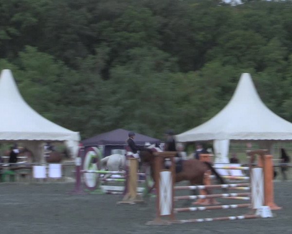 Torneio Equestre Horitschon 2022