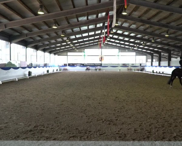 Reitturnier Münster-Albachten 2022