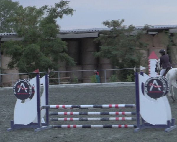 Reitturnier Horitschon 2022