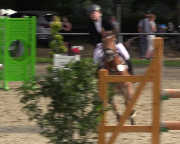 Reitturnier Datteln 2022