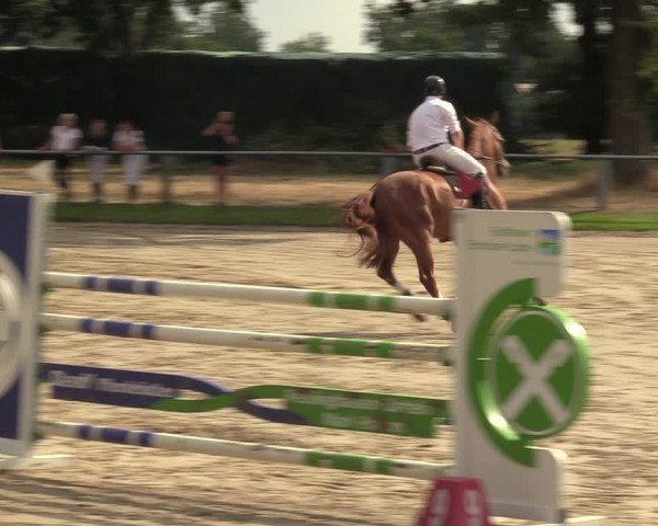 Reitturnier Datteln 2022