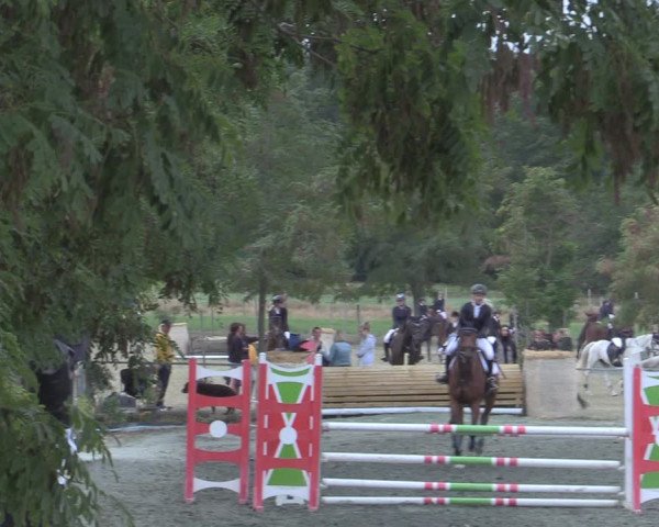 Reitturnier Horitschon 2022