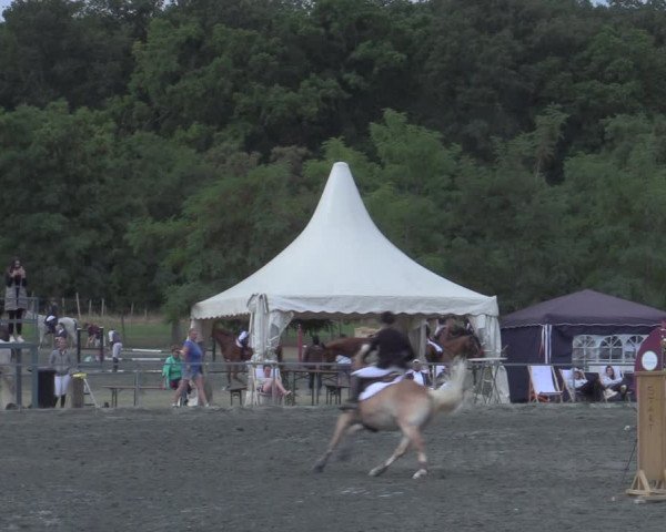 Reitturnier Horitschon 2022