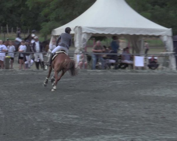 Reitturnier Horitschon 2022