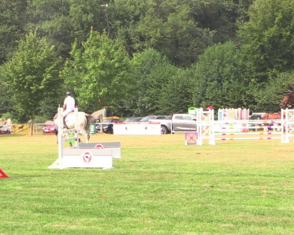 Reitturnier Kellinghusen 2022