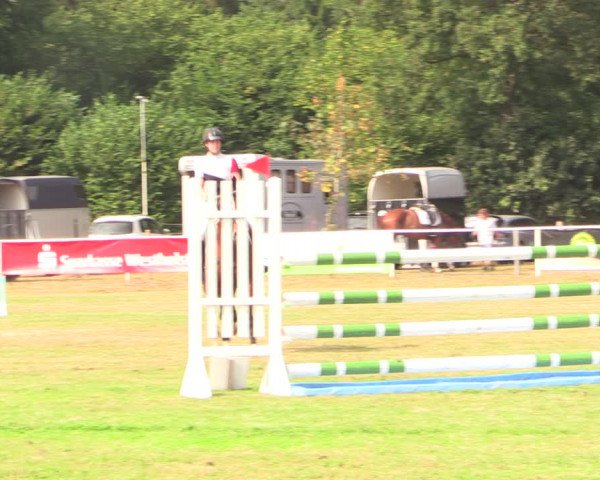 Reitturnier Kellinghusen 2022
