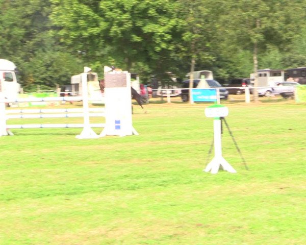 Reitturnier Kellinghusen 2022