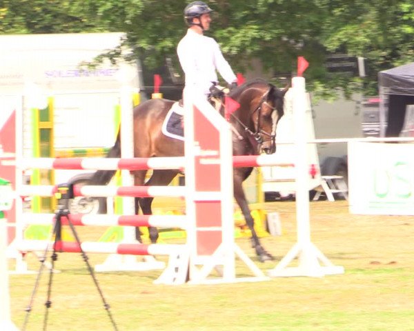 Reitturnier Kellinghusen 2022