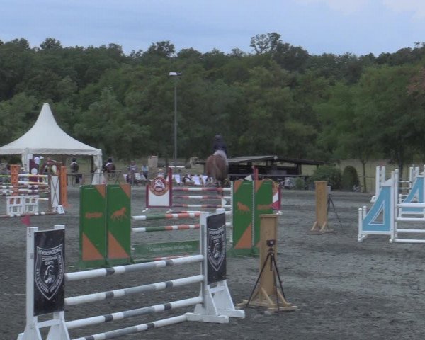 Reitturnier Horitschon 2022