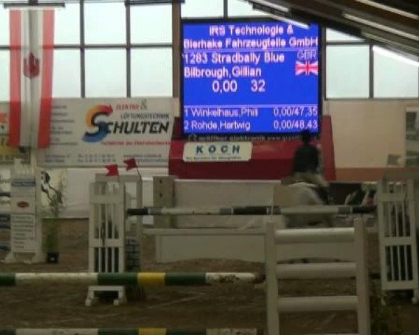 jumper Stradbally Blue (KWPN (Royal Dutch Sporthorse), 1999, from Royal Bravour)
