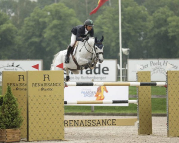jumper Golia (KWPN (Royal Dutch Sporthorse), 2011, from Bustique)