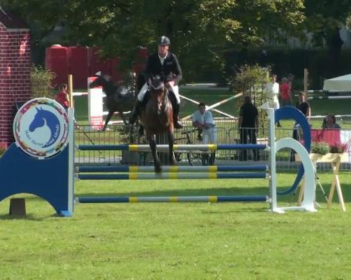 Plemeník Cardan (Německý sportovní kůň, 2004, od Cardenio) - 1. ASCANIA-Pferdefestival 26.08.2011
11 Springprüfung Klasse M*
