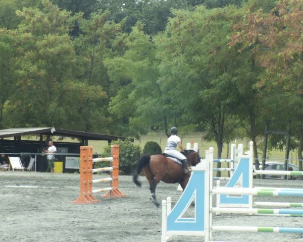 Reitturnier Horitschon 2022