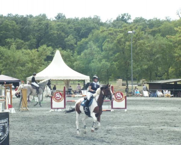 Reitturnier Horitschon 2022