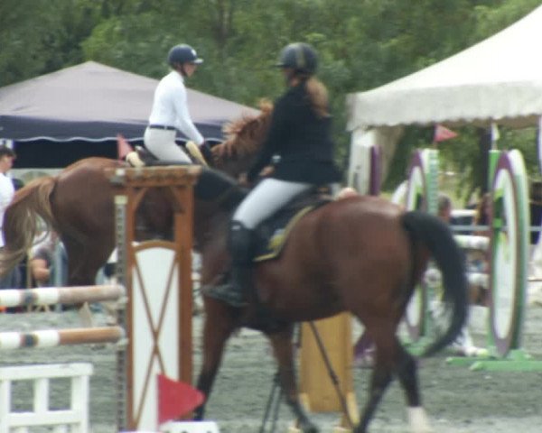 Reitturnier Horitschon 2022