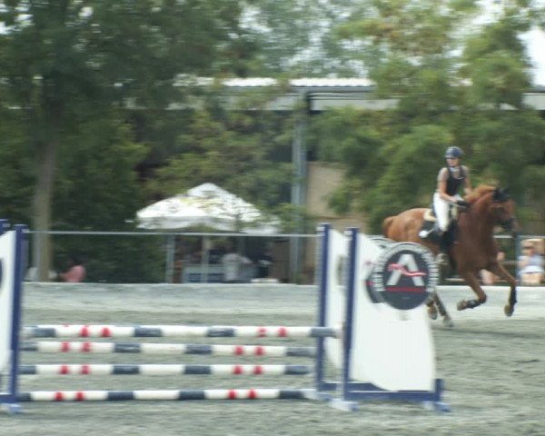 Reitturnier Horitschon 2022