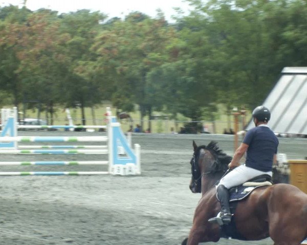 Reitturnier Horitschon 2022