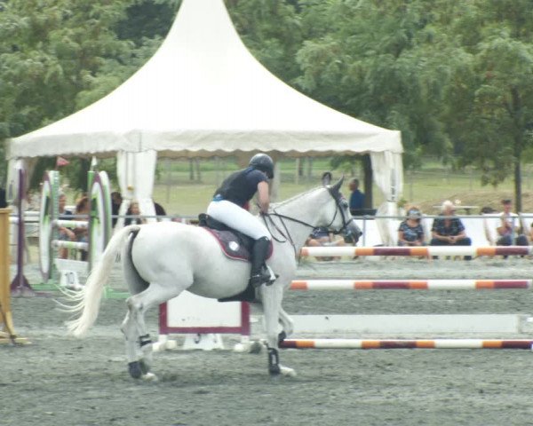 Reitturnier Horitschon 2022