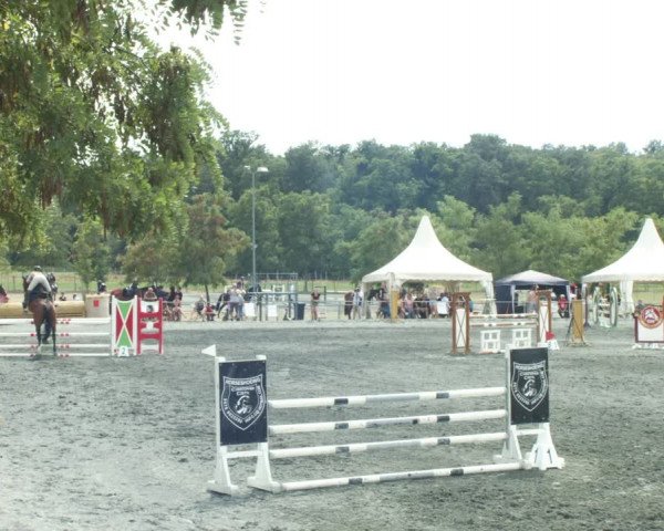 Reitturnier Horitschon 2022