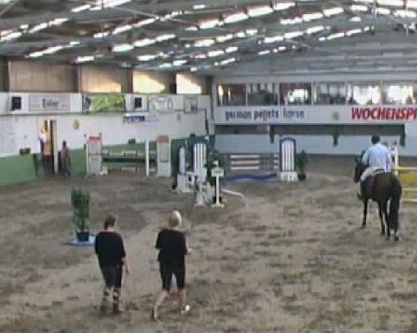 Springpferd Quick Magic 2 (Holsteiner, 2004, von Quidam's Rubin)