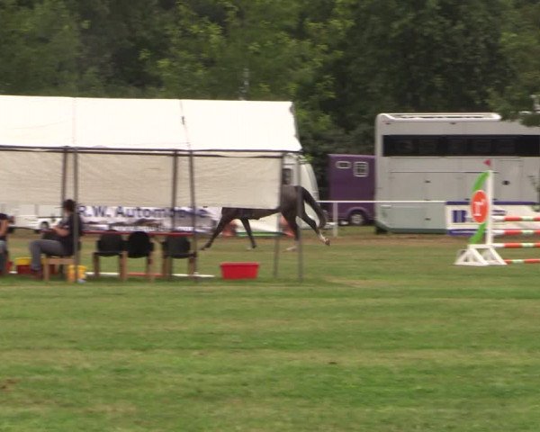 Reitturnier Kellinghusen 2022