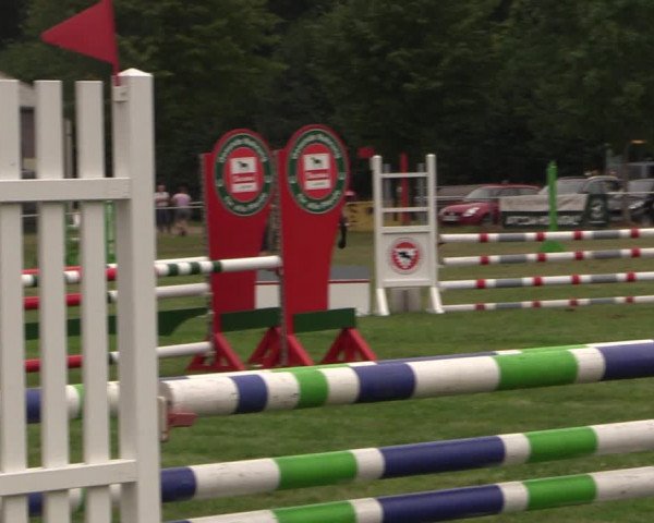 Reitturnier Kellinghusen 2022