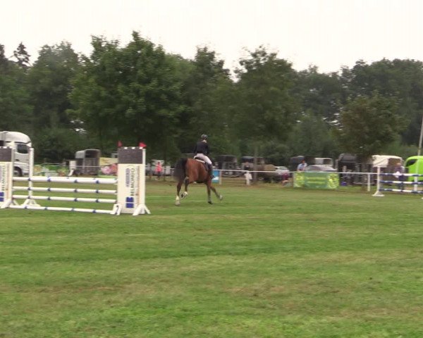 Reitturnier Kellinghusen 2022
