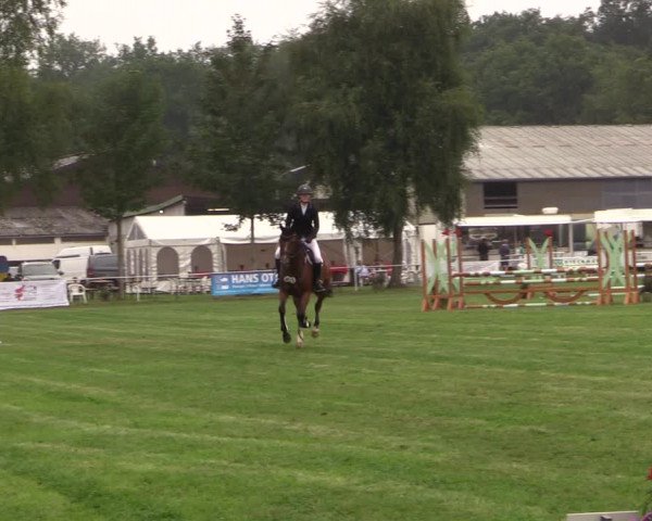 Reitturnier Kellinghusen 2022