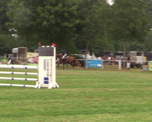 Reitturnier Kellinghusen 2022