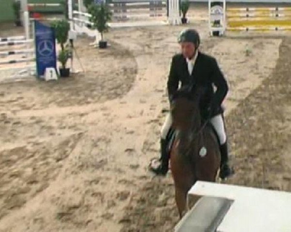 jumper Livius S (Zweibrücken, 2006, from Luxius)
