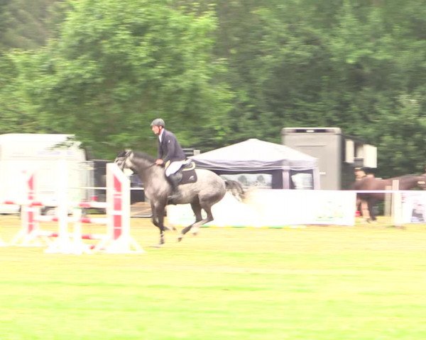 Reitturnier Kellinghusen 2022