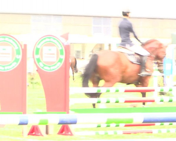 Reitturnier Kellinghusen 2022