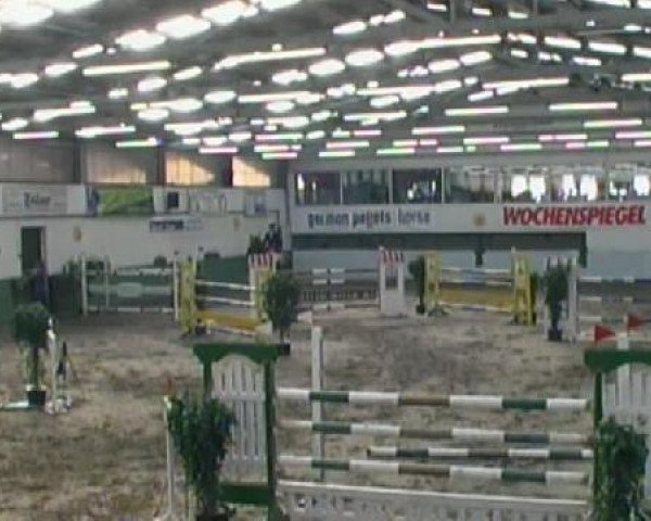 jumper Lorenzo 258 (Holsteiner, 2003, from Laurenz)