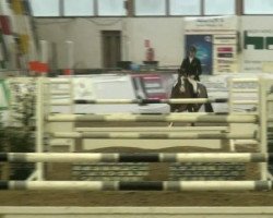 jumper Fiano 10 (Hanoverian, 2006, from For Edition)