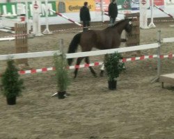 jumper Lasse (unknown,  )