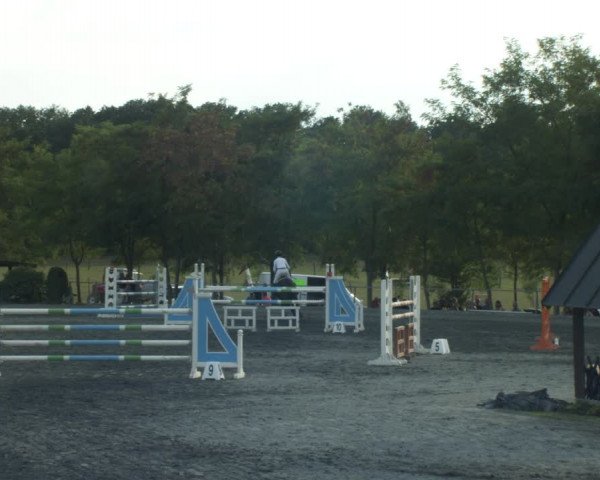 Reitturnier Horitschon 2022