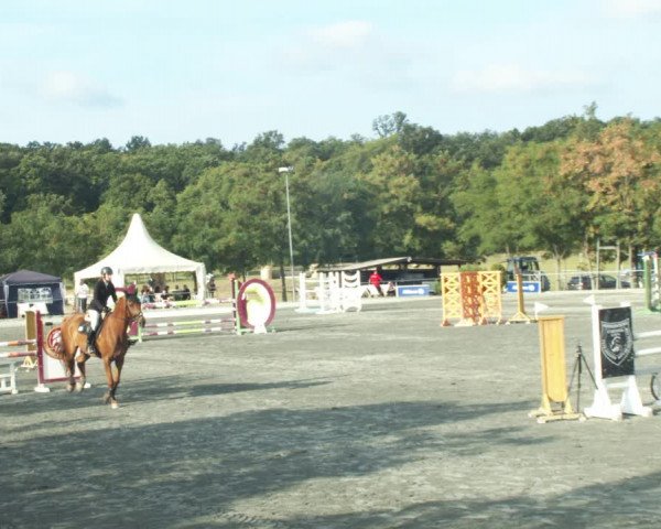 Reitturnier Horitschon 2022