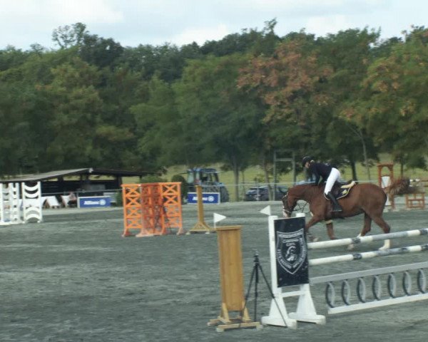 Reitturnier Horitschon 2022