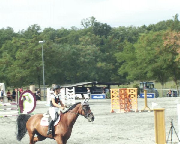 Reitturnier Horitschon 2022