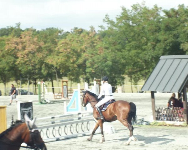 Reitturnier Horitschon 2022