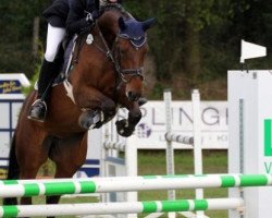 jumper Be Smart 2 (Hanoverian, 2003, from Harmony's Baroncelli)