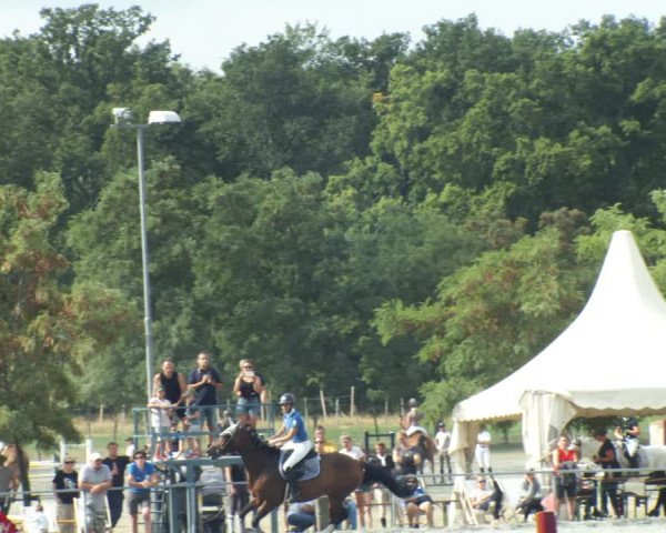 Reitturnier Horitschon 2022