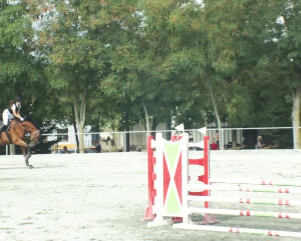 Reitturnier Horitschon 2022