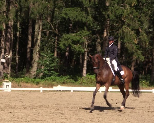 Reitturnier Kellinghusen 2022