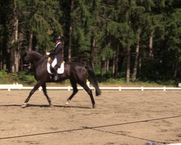 Reitturnier Kellinghusen 2022
